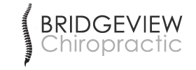 Chiropractic Bridgeview IL Bridgeview Chiropractic SideBar Logo