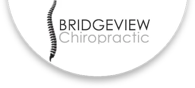 Chiropractic Bridgeview IL Bridgeview Chiropractic Danni Header Logo