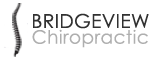 Chiropractic Bridgeview IL Bridgeview Chiropractic SC Logo